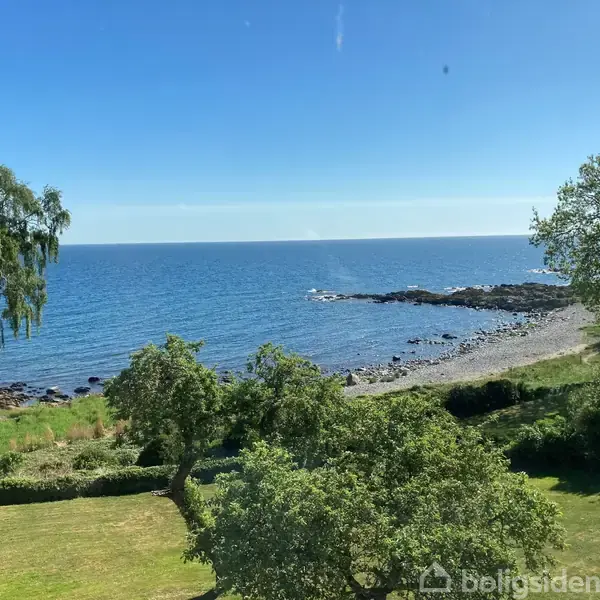 Hav møder kyst; bølger rammer stenstrand. Grønne træer og græs fylder forgrunden under en blå himmel.