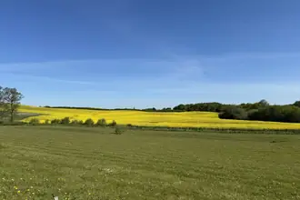 Helårsgrund på Møllegårdsvænget 8, Nr Broby, 5672 Broby
