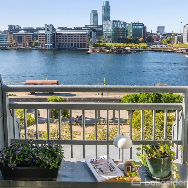 En altan med en potteplante, set fra højden. I baggrunden ses en flod med modstående bygninger på den anden side og en park med træer nær flodbreden, hvor mennesker går.