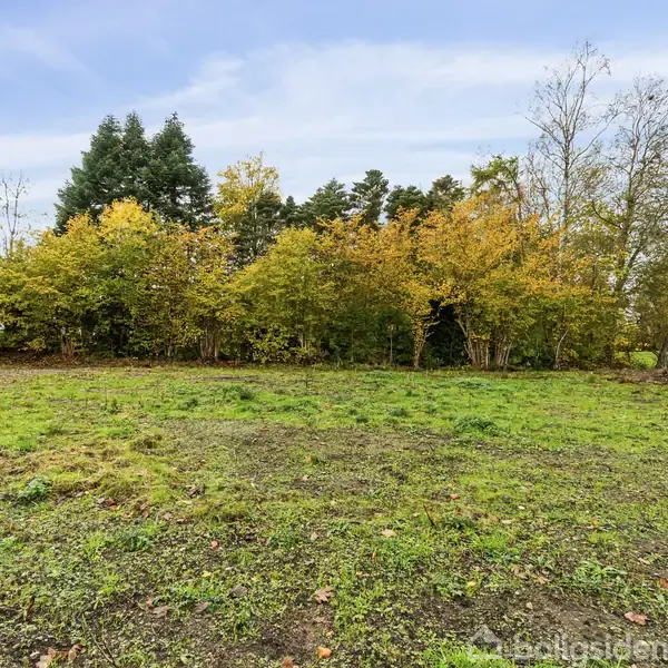 En græsplæne med spredte pletter af bar jord strækker sig foran en række træer med gule og grønne efterårsblade. Himlen er overskyet og lyseblå i baggrunden.