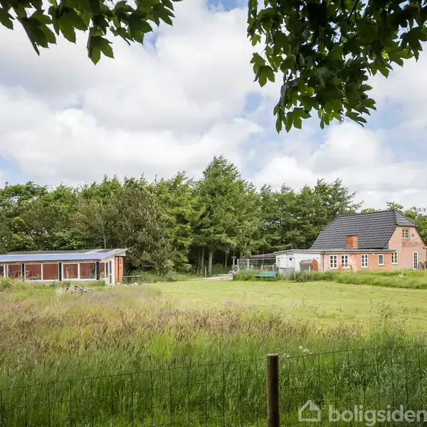 To huse står stille på en stor, frodig græsplæne omgivet af træer og buske. Det ene hus har et mørkt tag og det andet et fladt tag.