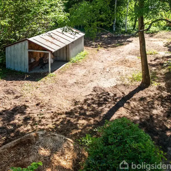 Et enkelt skur står stille i en lysning omgivet af træer og buske. Skurets tag er metal, og jorden omkring det er ryddet for vegetation.