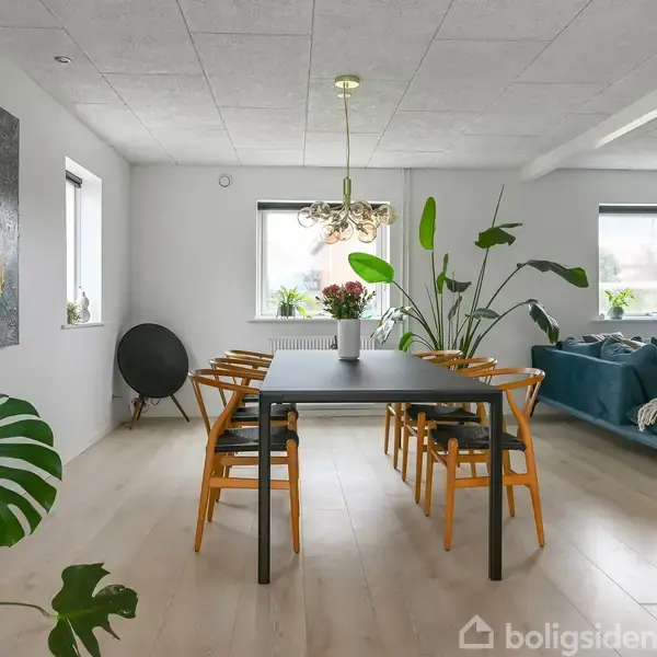 Et moderne spisestue med et sort bord omgivet af seks træstole, placeret på et lyst trægulv. En blå sofa står til højre, mens grønne planter dekorerer rummet.