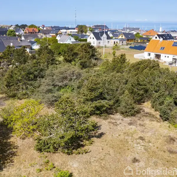 Huse med forskelligt farvede tage står tæt på hinanden i en kystby. Forgrunden domineres af et skovområde med spredte træer. Havet ses i baggrunden.
