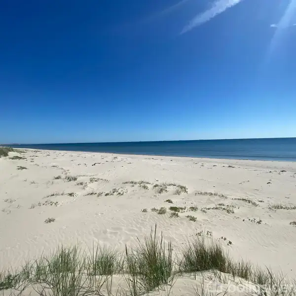 Strandstrækning med hvidt sand og spredte græsbuske. Havet ligger roligt ved siden af stranden under en klar, blå himmel.