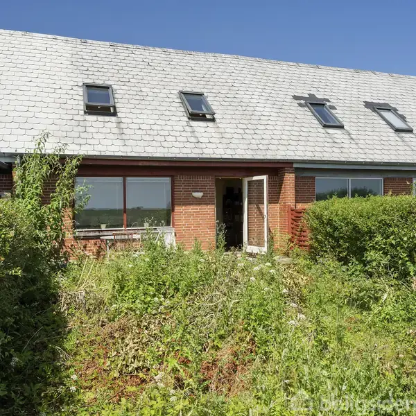 Et muret rækkehus med skråtag og flere ovenlysvinduer, har en forhave fyldt med vildtvoksende planter og buske, omgivet af blå himmel og klart solskin.