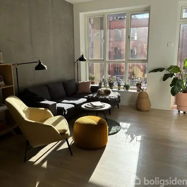 En grå sofa står op ad en væg i en stue, omgivet af en gul lænestol og et gulvtæppe. Store vinduer slipper lys ind, med planter på vindueskarmen.