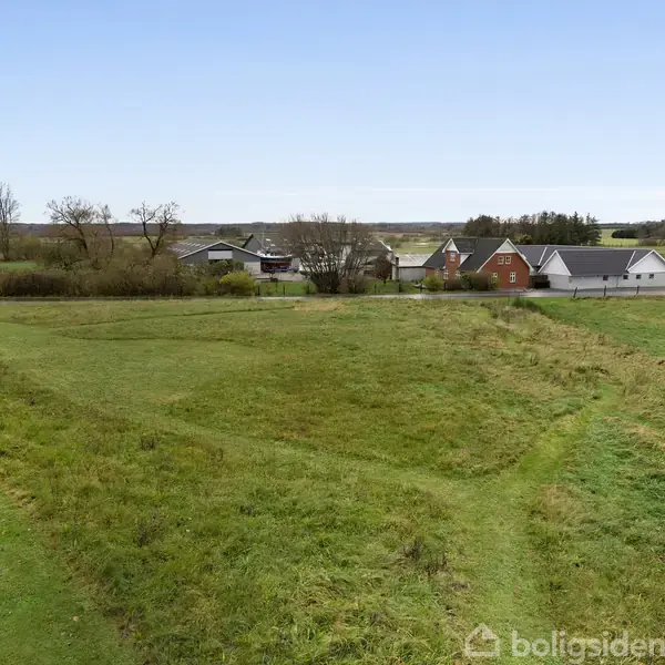 En grøn græsmark strækker sig over en åben mark, med nogle huse i baggrunden under en klar, blå himmel.
