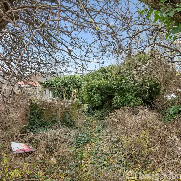 En overgroet have fyldt med vildtvoksende buske og træer, med en falmet stol skjult blandt vegetationen. En blå himmel ses gennem grenene, mens tæt bevoksning omslutter området.