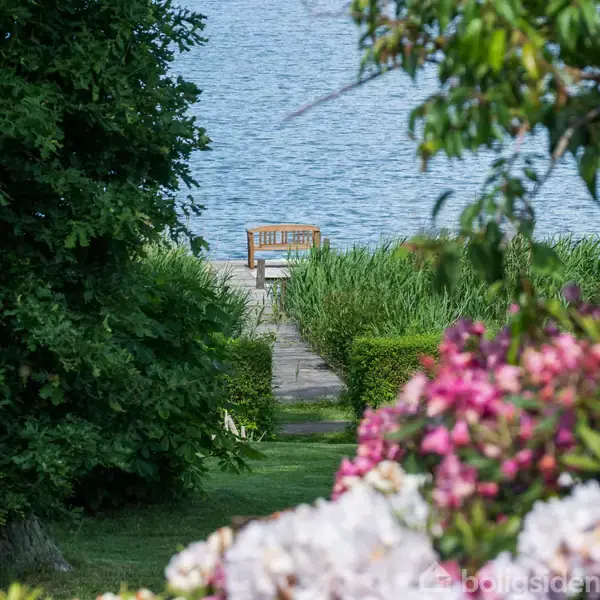 En træbænk står for enden af en sti ved en søbred, omgivet af frodige buske og farverige blomster. Vandet ses i baggrunden.