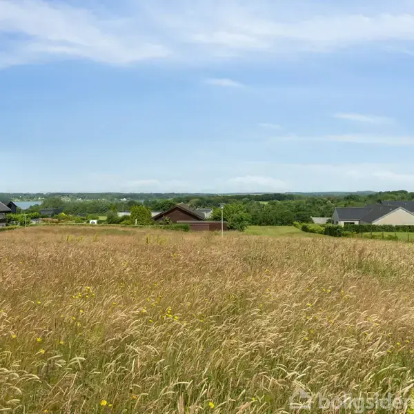 En udstrakt mark med langt græs står stille, omgivet af enkelte huse i baggrunden. Landskabet fortsætter ud mod en horisont af grønne træer og en blå himmel.