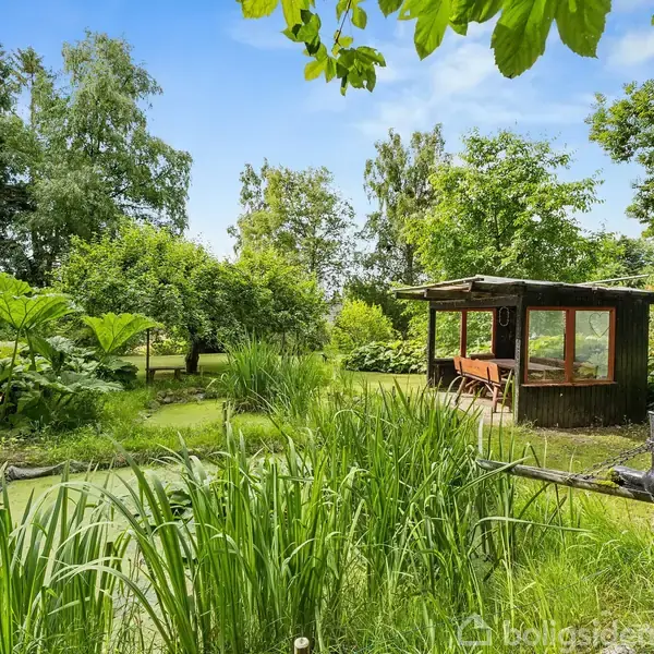 En lille pavillon står stille ved siden af en frodig dam omgivet af høje, grønne planter. Baggrunden domineres af tætte træer under en klar blå himmel.