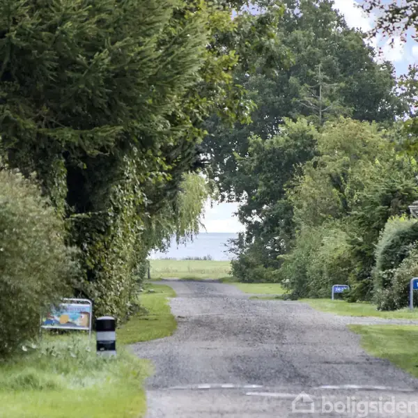 En grusvej løber gennem en frodig, grøn landskabsramme med tæt bevoksning, fører op til udsigt over en fjord. På vejens kant står skraldespande og et postkasseskilt.