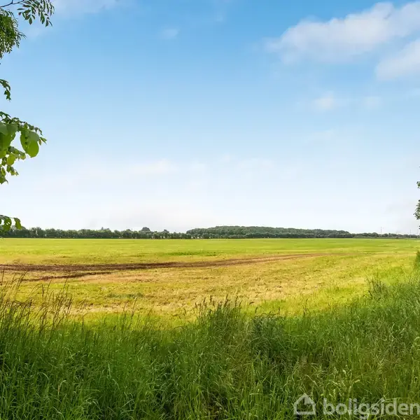 En grøn mark strækker sig ud i det fjerne under en blå himmel med spredte skyer. Høje træer omkranser området, som giver en naturlig ramme.