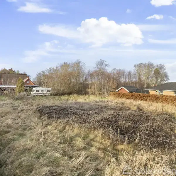 En åben mark med højt, tørt græs ligger i et boligområde ved siden af en hæk og en grusvej. I baggrunden ses et hus, en campingvogn og træer.