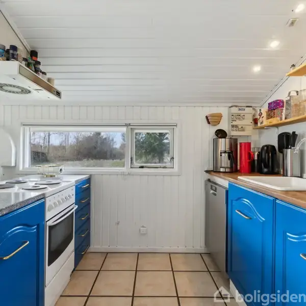 Et lyst køkken med blå køkkenskabe. Et komfur og emhætte er til venstre, mens der er opvaskemaskine og kaffemaskiner til højre. Vinduet viser en træbevokset udsigt udenfor.