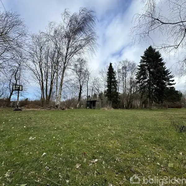 Græsplæne ligger stille i en have med store, bladløse træer omkring; en basketballkurv står til venstre. Skyet himmel i baggrunden.