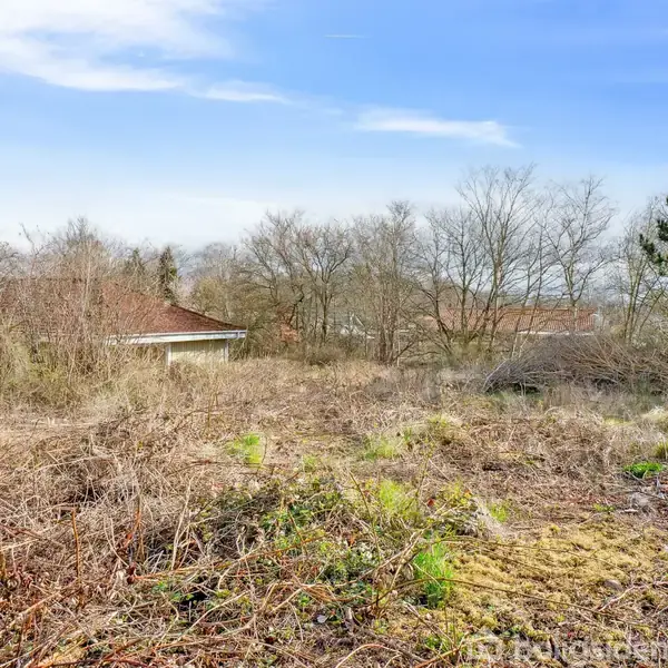 Græs og buske vokser vildt på en åben grund. Træer omkranser området, og et hustag ses i baggrunden under en blå himmel med spredte skyer.