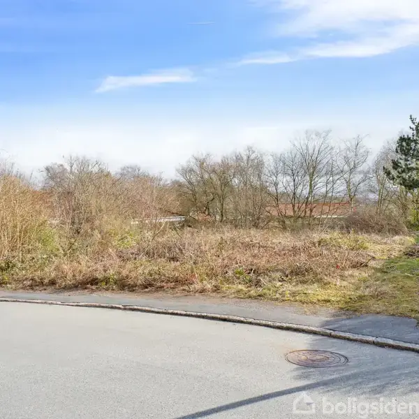 En ubebygget grund med buske og træer omkranser et tomt, fladt areal ved siden af en asfaltvej. Himlen er klar med få skyer.