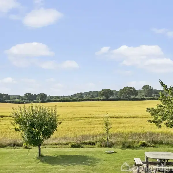 Et grønt træ står i forgrunden på en græsplæne, ved siden af et bord-bænkesæt. I baggrunden ses en gylden mark og nogle træer under en blå himmel med hvide skyer.
