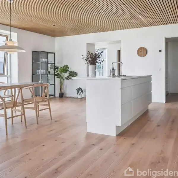Køkken med hvidt ø-køkkenbord, moderne træstole ved spisebord, grønne planter nær glasvitrineskab og store vinduer. Træloftet komplementerer det lyse trægulv i et minimalistisk rum.