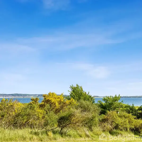 Havudsigt med grønne buske i forgrunden, havet i baggrunden under en klar blå himmel. Scenen er fredfyldt med vandets horisont, omgivet af spredt vegetation og træer.