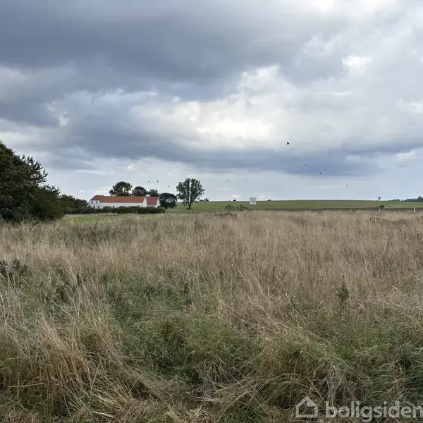 En mark med højt græs strækker sig foran en gård med rødt tag og hvid facade. Skyer hænger tungt på himlen, og et træ står i baggrunden.