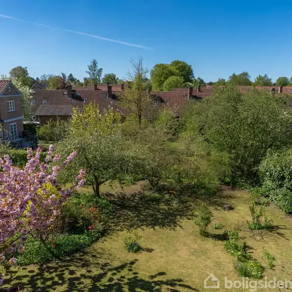 En grøn have med blomstrende træer og buske, set i solskin. Omkringliggende rødt tagede huse danner en hyggelig boligområde atmosfære under en klar blå himmel.