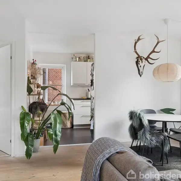 Stue med spisestue arrangement omringet af sorte stole. En hjortetak hænger på væggen. Grønne planter pryder rummet; køkken kan ses gennem en døråbning. Plakat: "TABAMO".