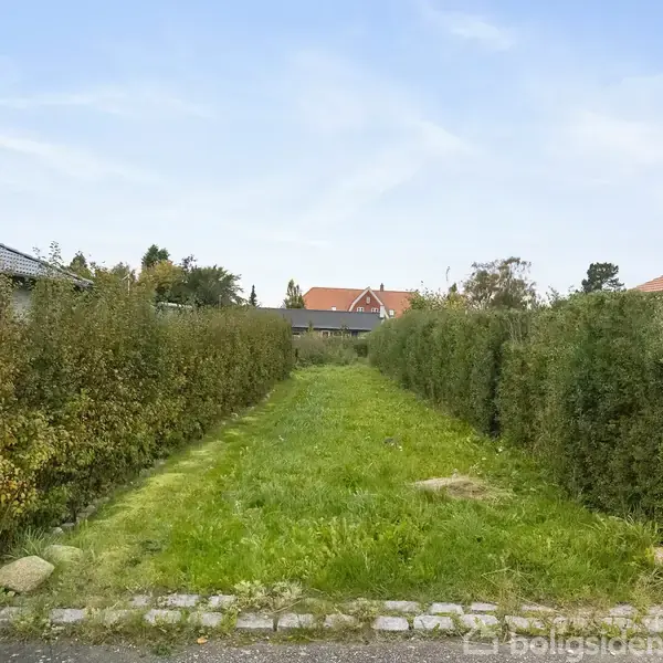 Græsplæne omkranset af tætklippede hække, der fører til baghaven af et rødt taghus i et villakvarter med flere hustage synlige i baggrunden.