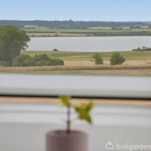 Udsigt over en landskab beliggende ved en sø, set gennem et vindue. Forreste plan viser en sløret plante. Boligsiden logoet er nederst til højre.
