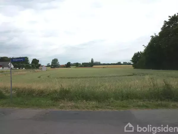 Et vejskilt viser "Dysseledvej" foran en åben mark med spredte træer og huse i horisonten under en overskyet himmel.