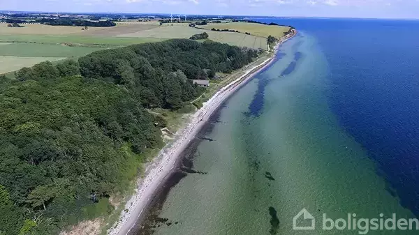 Strand løber langs en smal kystlinje, der grænser op til en frodig skov og åbne marker. Havet strækker sig ud i horisonten med klart, grønt vand.