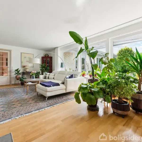 En lys, rummelig stue indeholder en hvid sofa og mange grønne planter. Store vinduer tillader naturligt lys, med træmøbler og et tæppe tilføjer varme.