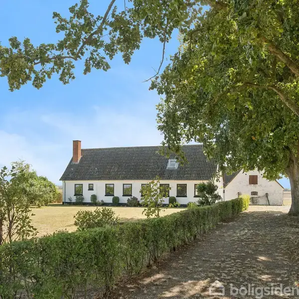 Hvidt hus med sort tag står i solrigt landskab omgivet af træer. En grusvej med hække fører op til huset. Himmel er klar og blå.