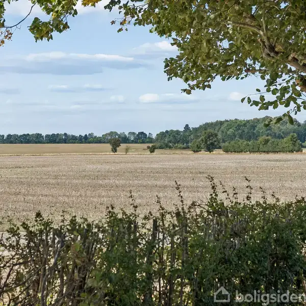 Et stort, åbent marklandskab set gennem to træstammer. Marken er omgivet af grønne træer i horisonten under en let overskyet himmel. Ingen tekst.