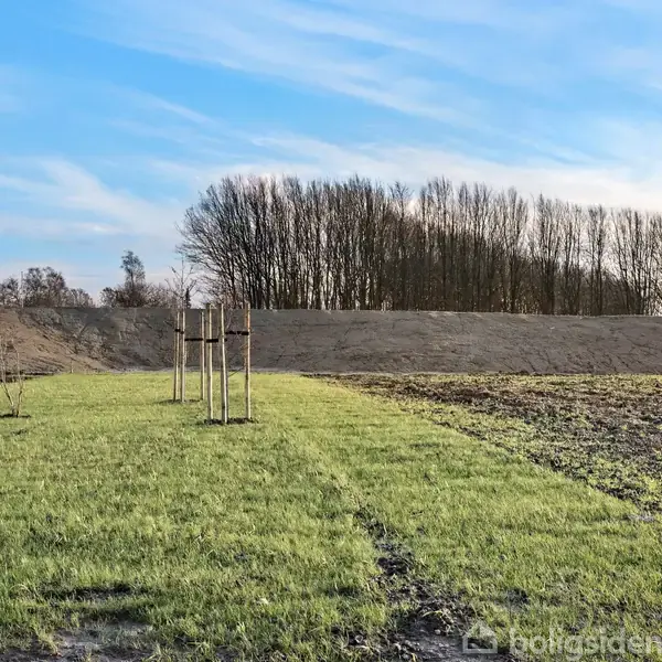 Græsplænen strækker sig fremad med et ungt træ støttet af træpæle. I baggrunden ses en række nøgne træer, og himlen er klar med spredte skyer.