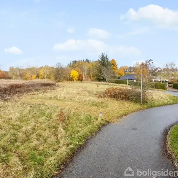 En snoet asfaltvej løber gennem et åbent, grønt landskab med græs og spredte træer i efterårsfarver, omgivet af marker og enkelte huse længere væk.