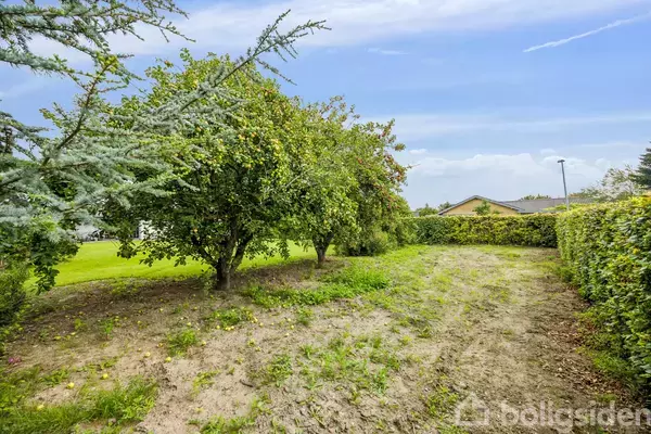 Træer står i en have, omgivet af grønne buske og en græsplæne, mens himlen er delvist dækket af skyer i baggrunden.