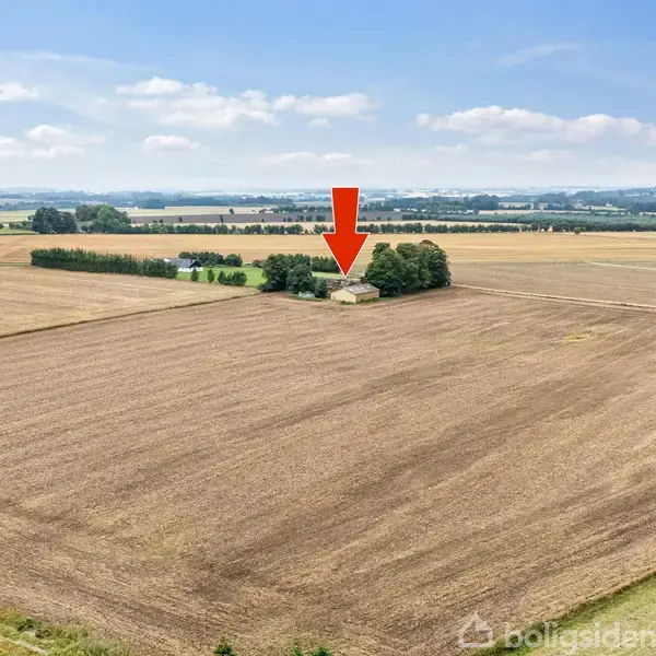 Hus omkranset af træer på stor mark. Rød pil peger mod huset. Landskab med åbne marker og spredte træer i baggrunden.