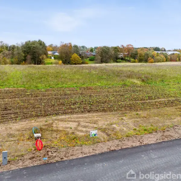 En grusvej grænser op til en åben mark dækket af græs og lav vegetation. I baggrunden ses en række træer og huse. Himmel er lys og klar.