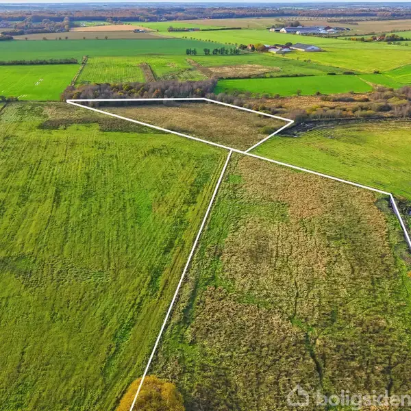 Et stort markområde med grønne og brune felter, indrammet af hvide linjer. Omkringliggende arealer består af åbne marker og spredte træer under en klar himmel.