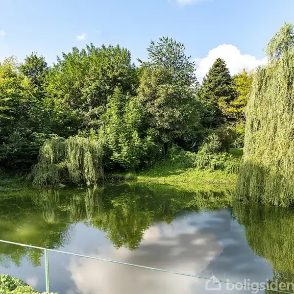 En stille sø omgivet af frodig vegetation og træer, herunder hængende piletræer, reflekteres i vandet under en blå himmel med nogle skyer.