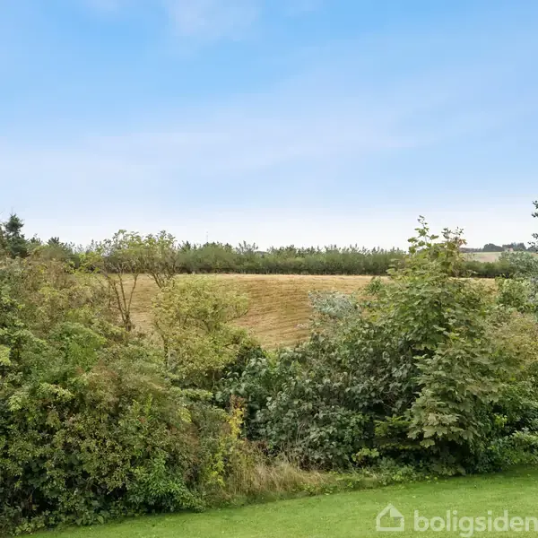 En frodig træbevoksning og grønne buske står stille i en åben mark, under en klar blå himmel. I baggrunden ses en høstet mark.