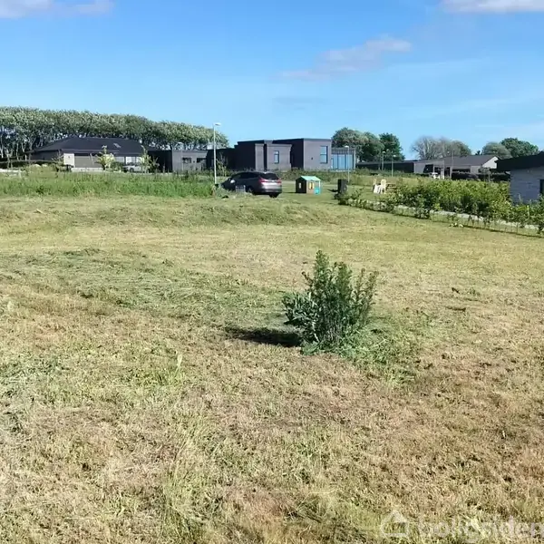 Græsplæne med enkelte buske står stille. Omgivet af huse og biler i et boligområde under en blå himmel med få skyer.