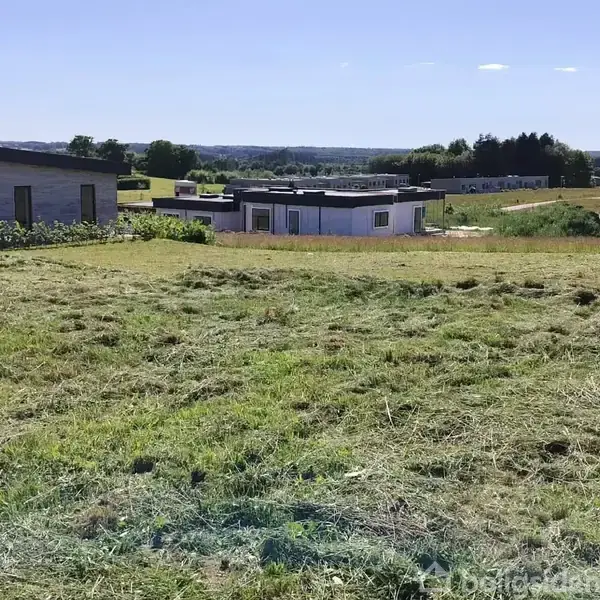 Græsmark med nyslået græs ligger foran moderne, lavt liggende bygninger i et åbent landskab under en klar blå himmel.
