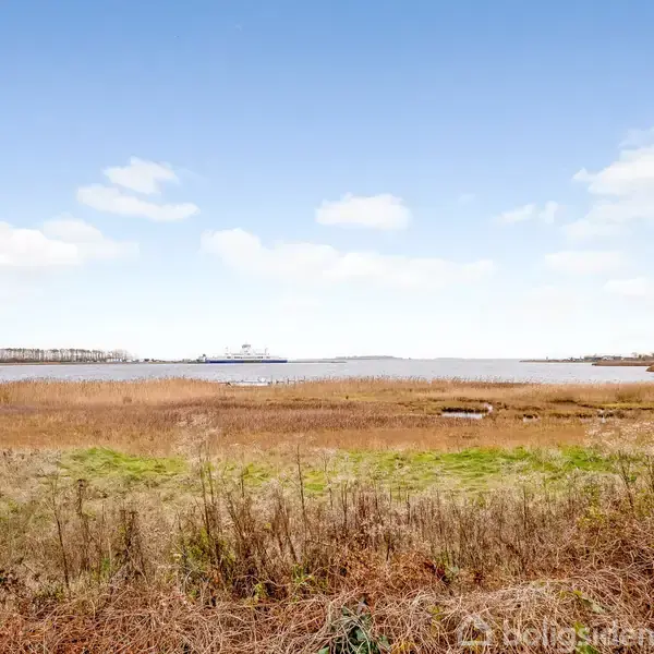 En græsbevokset eng strækker sig frem mod en bred flod, hvor vandet spejler himlen. Landskabet omkranses af fjerne træer under en lys, let skyet himmel.