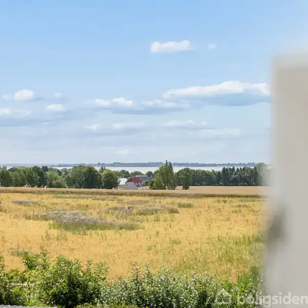Landskab med gylden mark og spredte buske. I baggrunden ses en gård omgivet af træer under en blå himmel med lette skyer.