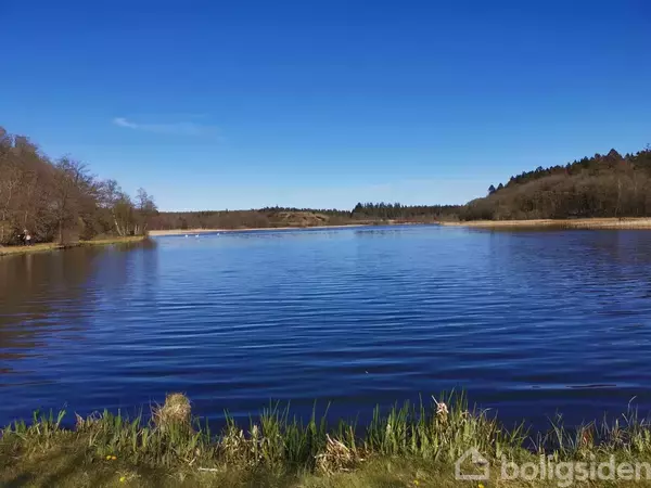 Sø i roligt vand ligger omgivet af skovklædte bakker og træer på begge sider under en klar blå himmel. Græs og siv markerer søbredden i forgrunden.