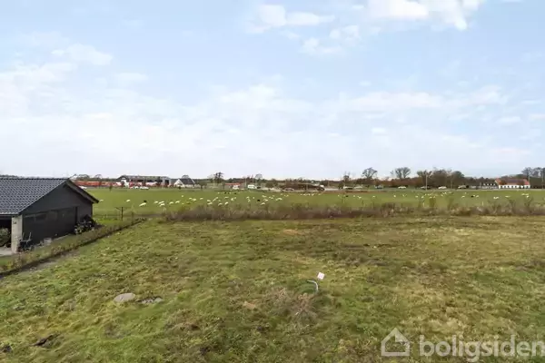 En mark med græssende får under en lyseblå himmel. I venstre forgrund ses et hus, og i baggrunden er der flere bygninger langs horisonten.